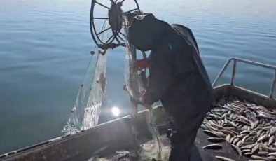 Erçek Gölü’nde kış balıkçılığı bereketi