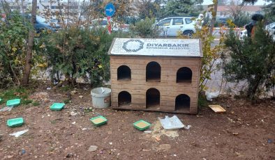 Diyarbakır’daki Kedi Evleri ilgi bekliyor