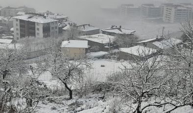 Kulp’ta kar ve sis etkili oldu, ilçe beyaza büründü