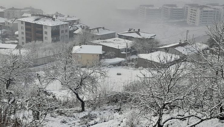 Kulp’ta kar ve sis etkili oldu, ilçe beyaza büründü