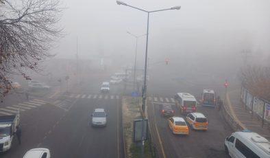 Diyarbakır yoğun sisle güne başladı