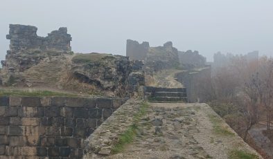 Diyarbakır’da tarihi mekanlarda SİS güzelliği