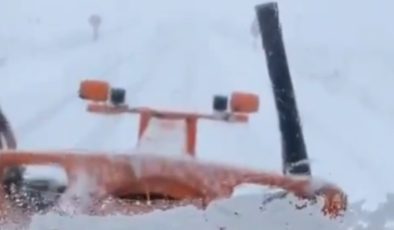Kar ve tipi Muş-Kulp kara yolunu kapattı