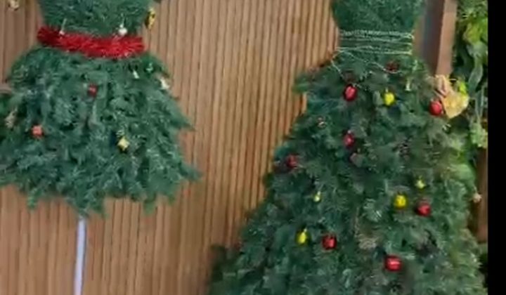 Çam Ağacı Konseptli Gelinlikler Diyarbakır’da ilgi gördü