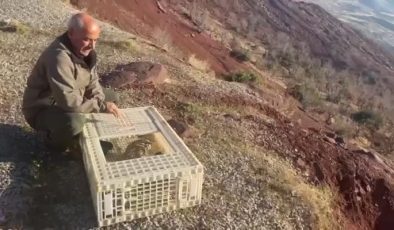 Şırnak’ta yasağa rağmen kınalı keklik ticareti cezası