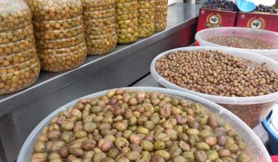 Yeşil zeytin fiyatı düştü, talep arttı