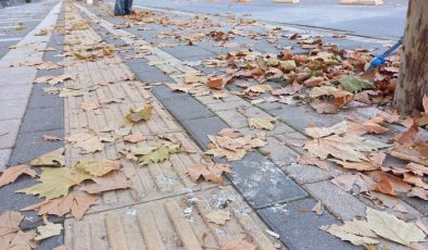 Cadde ve kaldırımlar yapraklarla dolu!
