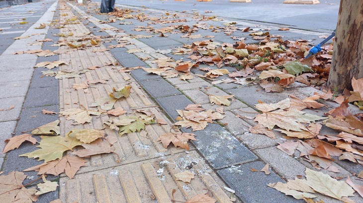 Cadde ve kaldırımlar yapraklarla dolu!
