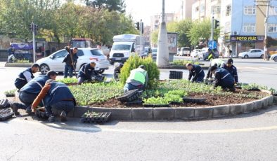 Gelecek yeşilleniyor: 1 milyon 152 bin bitki dikildi