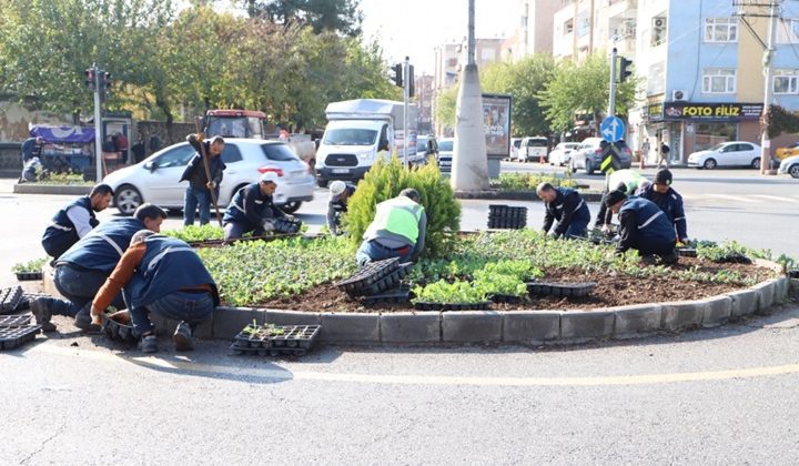 Gelecek yeşilleniyor: 1 milyon 152 bin bitki dikildi