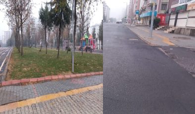 Hafta sonu Sessizlik hakim!