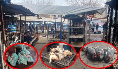 Diyarbakır’dan İstanbul ve Ankara’ya hindi gönderiyorlar