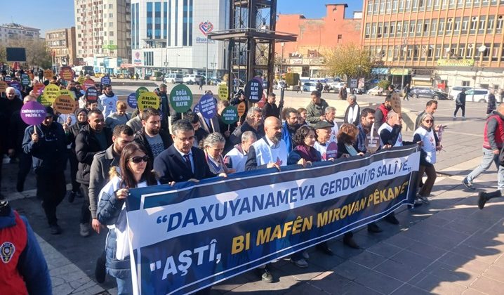 Diyarbakır’da ‘İnsan Hakları Yürüyüşü’ gerçekleştirildi