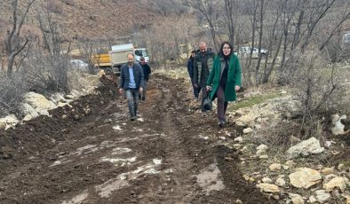 Kulp Belediye Eş Başkanı Fatma Ay yol çalışmalarını inceledi