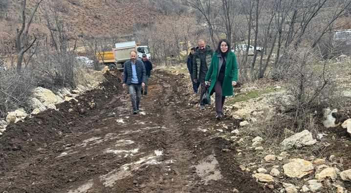 Kulp Belediye Eş Başkanı Fatma Ay yol çalışmalarını inceledi