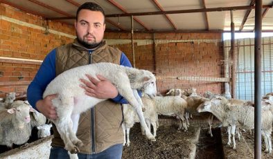 Çanakkale’de Kuzu 5 Ayaklı Doğdu