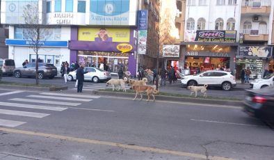Durdurulamayan sorun devam ediyor