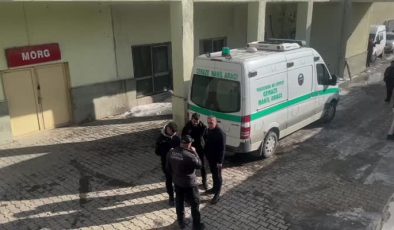 Hakkari’de köpek saldırısında bir çocuk hayatını kaybetti