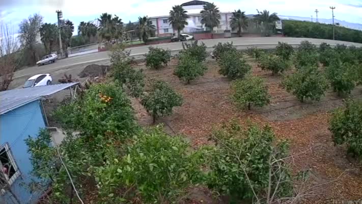 Ağaçlara çarpan otomobil ikiye bölündü: Sürücü yaralı