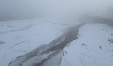 Ağrı’da dondurucu soğuk hayatı durma noktasına getirdi