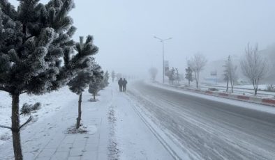 Ağrı’da dondurucu soğuklar nehir ve dereleri buz tuttu