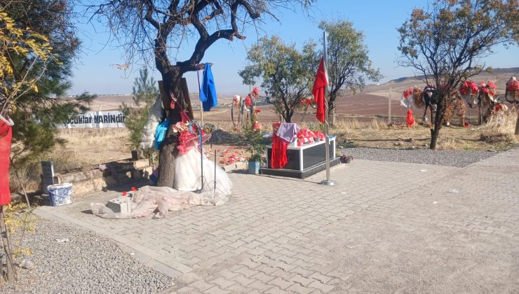 Anne Yüksel Güran için tahliye talebi: Avukattan yeni dilekçe