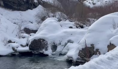 Ardahan, Ağrı ve Iğdır’da soğuk hava etkisini artırdı