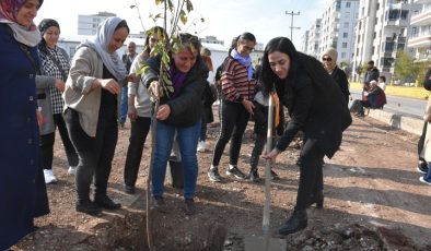 Bağlar Belediyesi yeşil çevre ve sosyal alanlar için çalışıyor