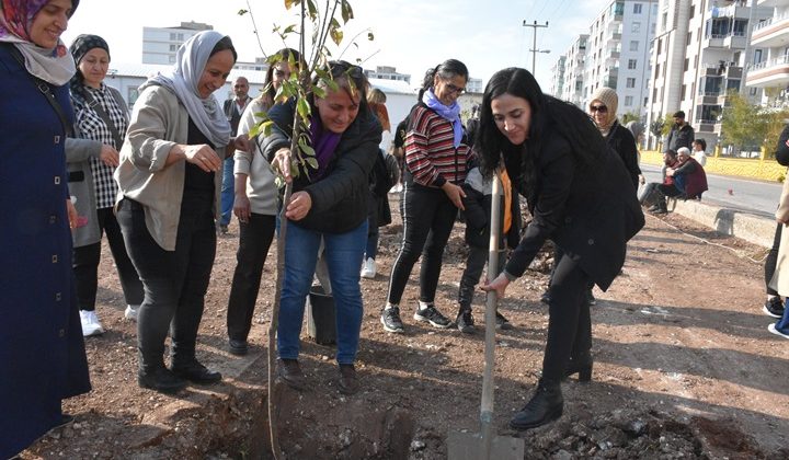 Bağlar Belediyesi yeşil çevre ve sosyal alanlar için çalışıyor