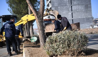 Bismil Belediyesi modern bir kent için çalışıyor