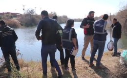 Balık ölümleri görülen Ceyhan Nehri’nde inceleme sürüyor