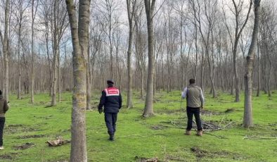 Barınaktan kaçan ayının yakalanması için çalışmalar sürüyor