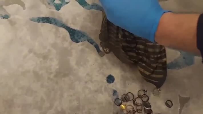 11 ilde tarihi eser operasyonu, 86 sikke ele geçirildi