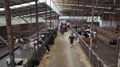 Bir inekle başladılar, dev çiftlik sahibi oldular