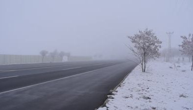 Bitlis’te sis ve soğuk hava etkisi: Ağaçlarda kırağı oluştu