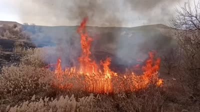 Çemişgezek’te çıkan yangın kısa sürede söndürüldü