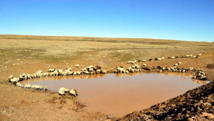 Çermik’te yapılan gölet, 7 bin hayvanın su ihtiyacını karşılayacak