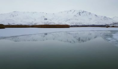 Van’daki Dilkaya Sazlığı’nın büyük bölümü buzla kaplandı