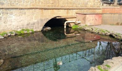 Diyarbakır’ın Anzele Parkı’nda balıklar kayboldu: Gizemli durum