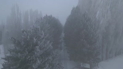 Ağrı’da dondurucu soğuklar kaş ve kirpikleri kırağıyla kapladı