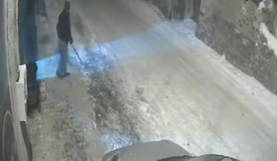Erzurum’da aç kalan kurtlar yerleşim yerine indi
