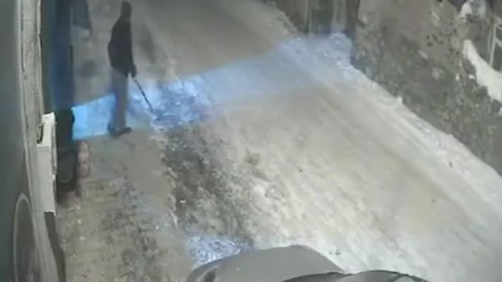 Erzurum’da aç kalan kurtlar yerleşim yerine indi
