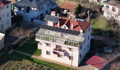 Yağmur suyu ve organik gübreyle çatıda tarım mucizesi