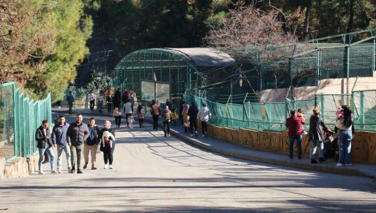 Gaziantep Hayvanat Bahçesi yılın ilk günü ziyaretçileri ağırladı