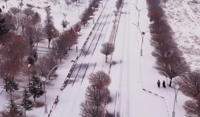 Bitlis ve Van’da gece yağan kar ulaşımı olumsuz etkiledi