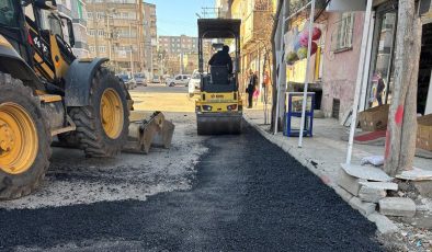 Şeyh Şamil Mahallesi’nde kapsamlı çalışma başladı