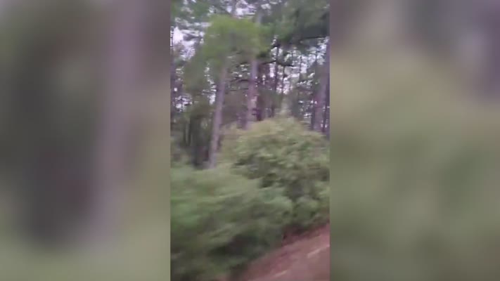 Isparta’da yaban keçisi envanteri için saha çalışması başladı