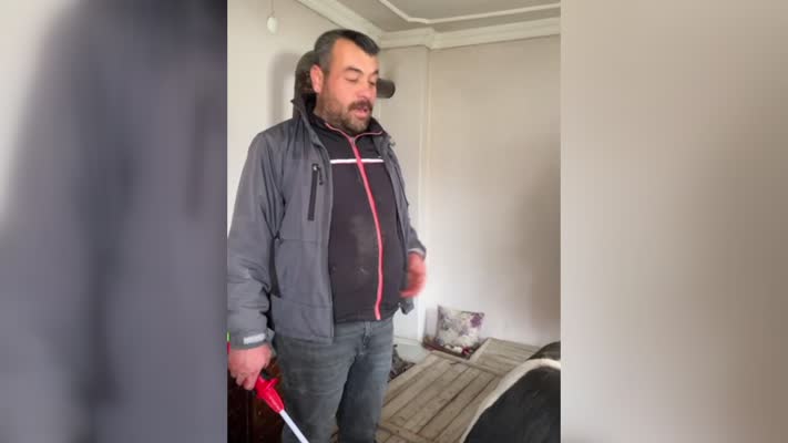 Kaçan tosun evin camını kırarak içeriye girdi