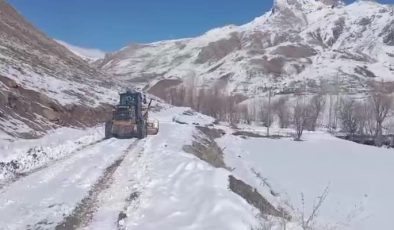 Şırnak’ta kar nedeniyle kapanan 9 köy ulaşıma açıldı