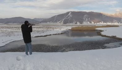 Hakkari Nehil Sazlığı, 276 kuş türüne ev sahipliği yapıyor